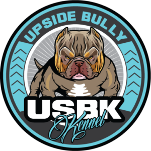 upside bully kennel